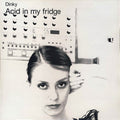 Dinky - Acid In My Fridge